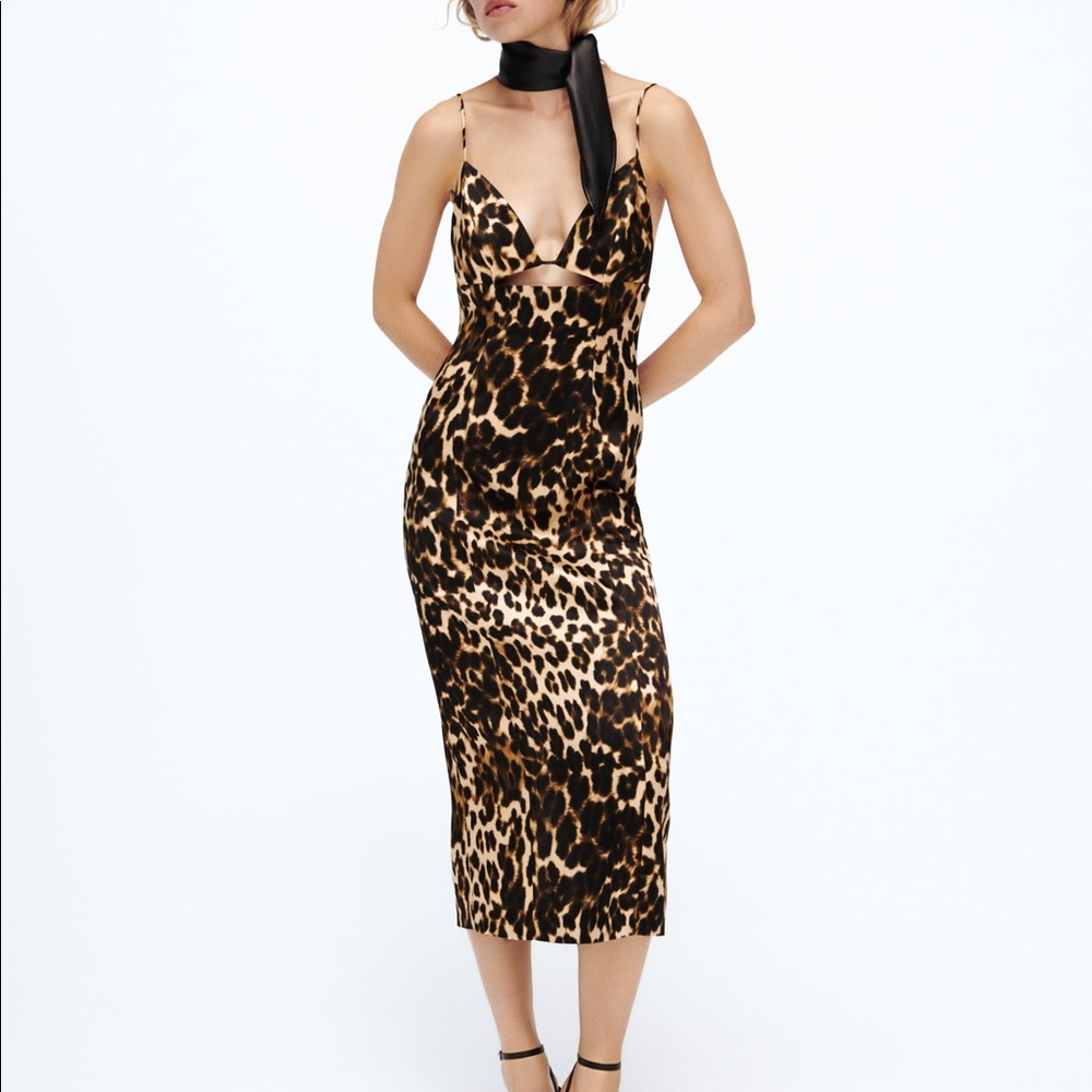 Zara Midi Leopard Dress